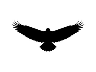 Front view flying eagle silhouette vector flat illustration design.
