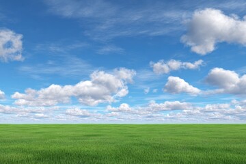Vast field under a summer sky