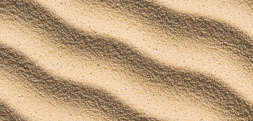 Sand dunes with rippled texture in warm light, highlighting natural formations and soft golden tones that evoke desert warmth and organic surface movement in outdoor visual themes.