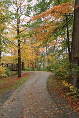 Fototapeta premium Pathway through forest with colorful autumn leaves and a small footbridge