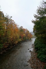 Calm river flowing through forest of vibrant fall trees