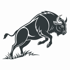 horse vector illustration