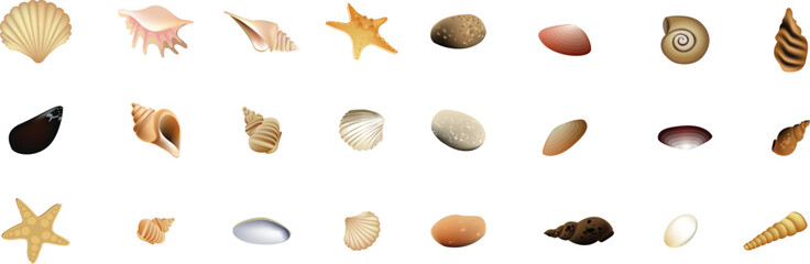 set of wheat. Shells vector bundle set and Icons design vector set.