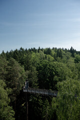 Scenic forest landscape featuring a wooden bridge surrounded by lush greenery against a clear blue...