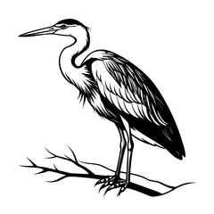 heron on a branch