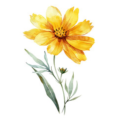 Watercolor style yellow flower with leaves on transparent background