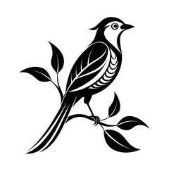 vector illustration of a bird