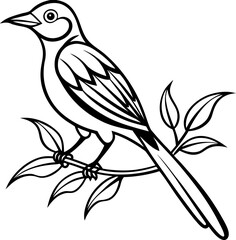 vector illustration of a bird