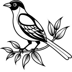 vector illustration of a bird
