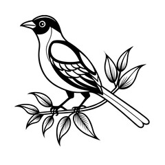 vector illustration of a bird