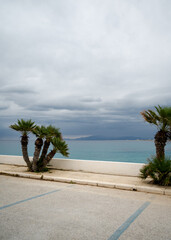 Coastline view with palm trees and overcast sky near the beach in late afternoon