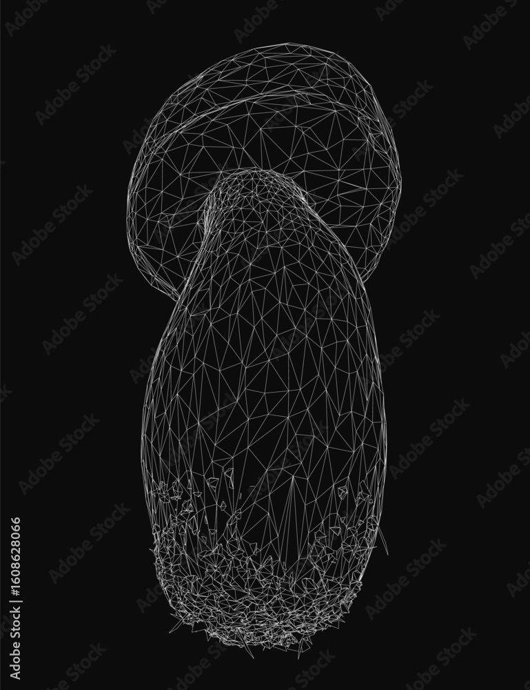 Poster A black and white wireframe mushroom features intricate geometric shapes and lines on a dark background. The design showcases a unique blend of simplicity and complexity.