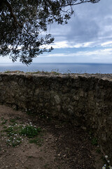Fototapeta premium Scenic coastal view from a historical stone wall under an olive tree near the sea in a tranquil setting during overcast weather