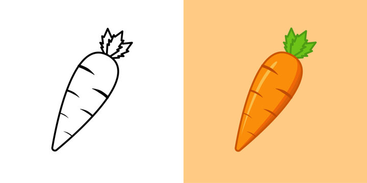 A vector illustration featuring a fresh carrot in two styles: a black outline ideal for coloring books or simple designs, and a vibrant, colorful version. Perfect for healthy eating concepts.