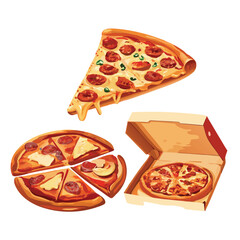 3d pizza fast food items with vector 
