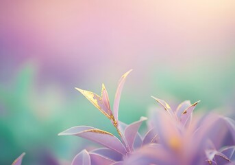 Fototapeta premium Dreamy pastel floral background with leaves and bokeh for a soothing effect