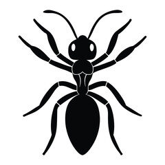 Black Ant Silhouette Detailed Insect Nature Vector Illustration