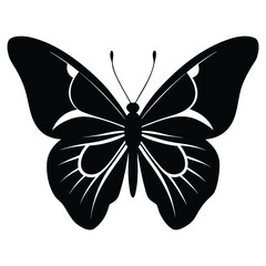 butterfly vector illustration