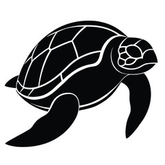 turtle vector illustration