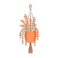 Macrame Plant Hangers with Green Plants in Pots for Home Decor, Interior Design, and Boho Style Modern Indoor Gardening Ideas for Apartments and Living Rooms.