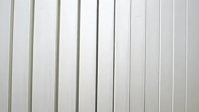 Elegant texture with the white wood panels background, versatile for designs