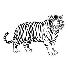 Naklejka premium Black and white illustration of a majestic tiger standing in profile on a white background