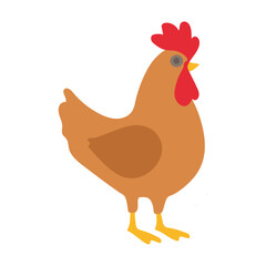 Farm Chicken Illustration Flat Design