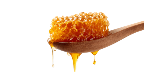 sweet honey spill drip isolated on transparent	
