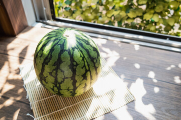 木漏れ日が当たった窓際のスイカ
