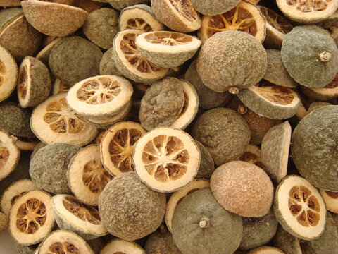 Dried fruit of Poncirus trifoliata, a Korean medicinal herb known for aiding digestion and treating respiratory conditions. Photographed in Korea.
