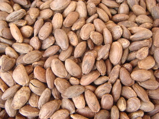 Dried seeds of Trichosanthes kirilowii, a Korean herb traditionally used for detoxification and reducing inflammation. Photographed in Korea.
