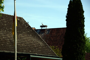 Storks Nest in the Town Schwarmstedt, Lower Saxony