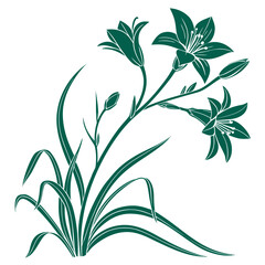 vector illustration of a zephyranthes candida green