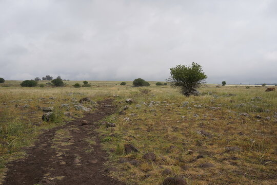 The way to waterfall, part of Gamla Nature reserve, Golan Heights, Israel