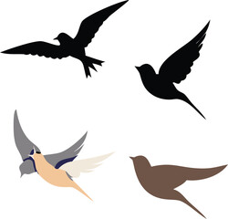 Obraz premium silhouettes of birds. Birds Vector Illustration – Colorful or Silhouette Bird Designs in Flight or Perched, Perfect for Nature, Wildlife, Freedom, Sky, Spring, or Decorative Artwork.