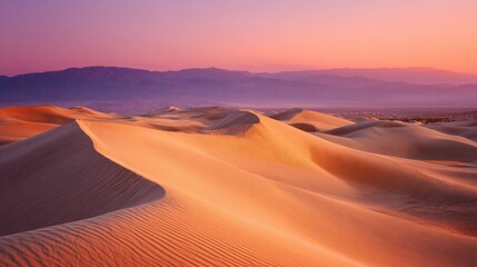 Golden sand dunes in the desert with wind patterns
