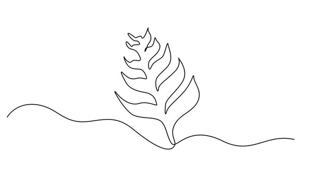 Fir leaf sign animation continuous one line drawing, Full length single line animation, continuous one single line drawn concept video.