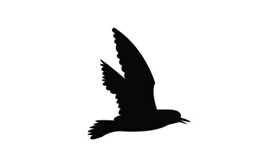 Flying American golden plover bird Silhouette Design  And Vector Illustration. 