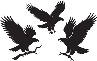 Fototapeta premium Flying Eagle Silhouette SVG Eagle Bird Cut File Bundle Hawk Eagle Vector Clipart Set