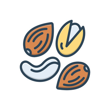 Color illustration icon for dry fruits