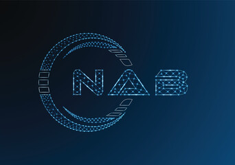 NAB low poly letter logo vector design. NAB lower poly logo design. Low poly logo.