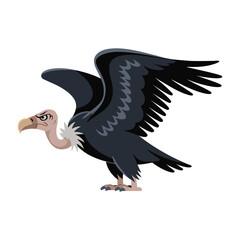 Fototapeta premium Vulture Bird, vector illustration on white background.