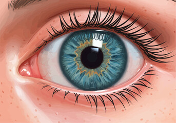Close up view of a human eye with blue iris and long eyelashes in detailed illustration style
