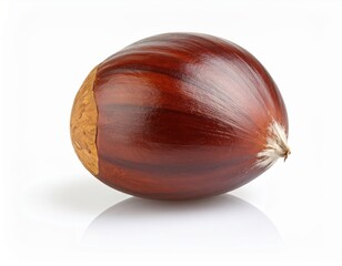 A single, smooth chestnut with a glossy shell and a small