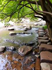 Babbling brook with stepping stones and overhanging branches creating a peaceful scene