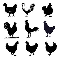 chicken silhouette icon set
