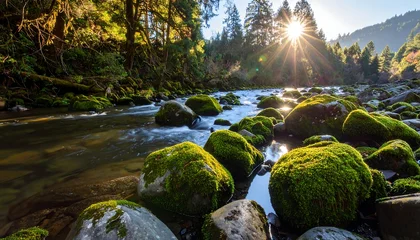 Papier peint photo Rivière en forêt Sunlit river flows over moss-covered rocks in a forest  © barber