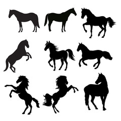 horses silhouette collection