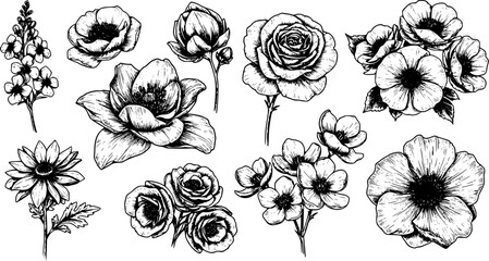 Set of  flowers with line art element design. black and white line art drawing, no color, no shading. white background
