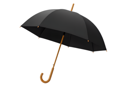 black umbrella isolated on white